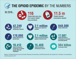 Opioid Epidemic Infographic